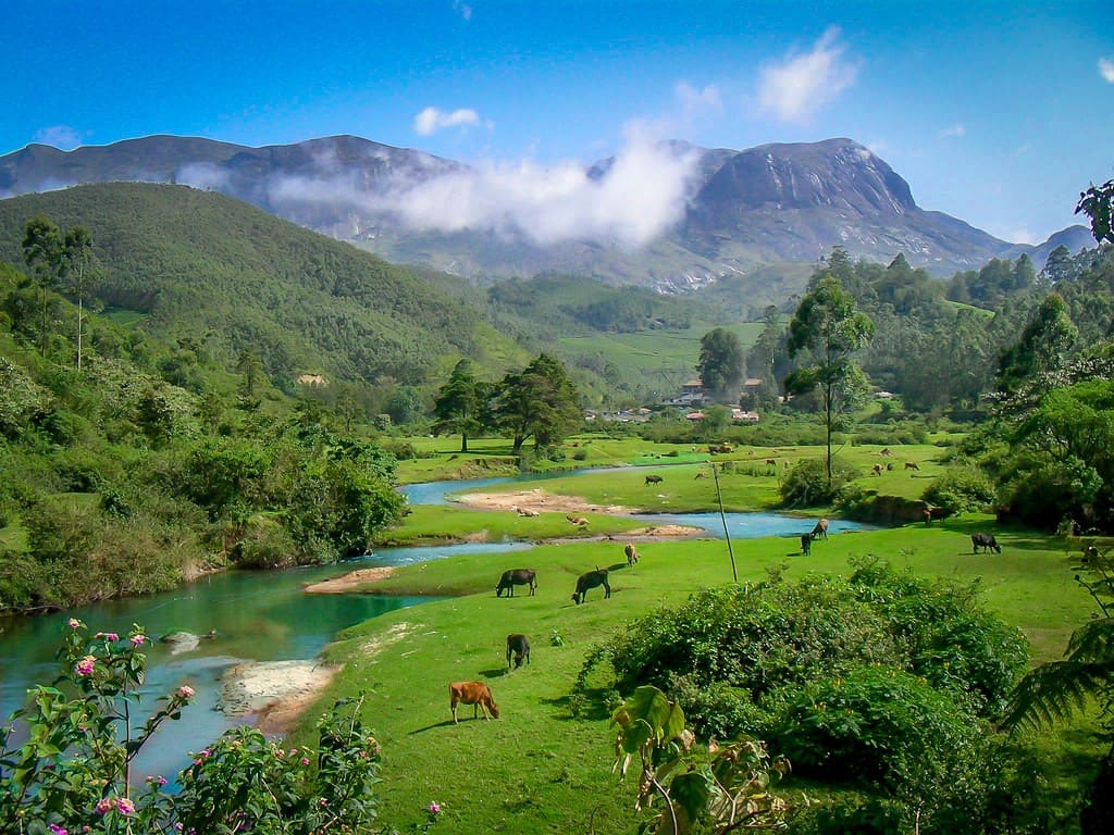 Anamudi peak image
