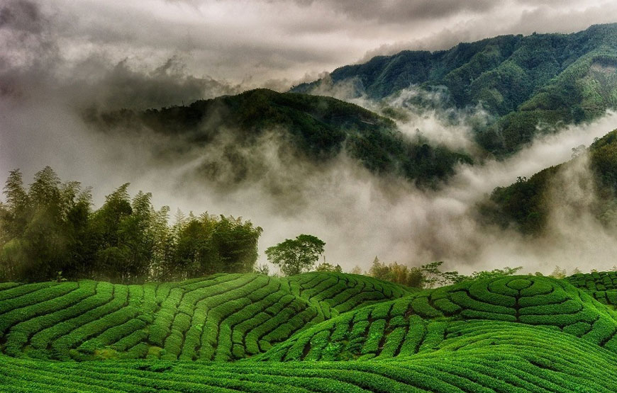 ooty tour 3