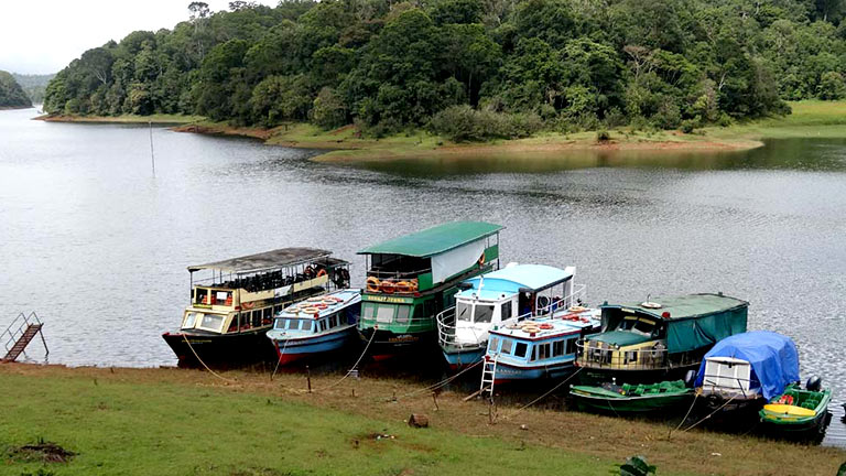 thekkady name